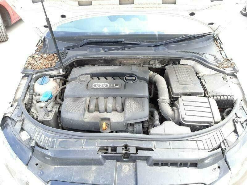 Motor VW Golf Plus V 1.6 CMXA 93 TKM 75 KW 102 PS inkl.