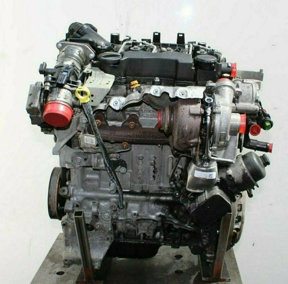 Kompletter Motor Engine Ford Focus G8DD 1,6 Diesel 56.995 KM