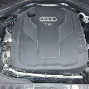 MOTOR AUDI A6 C7 2017 2.0 DDDA 54.871 KM inkl. Lieferung